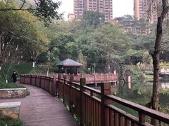 -重庆彩云湖湿地公园