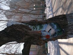 android_upload_pic-斯大林公园