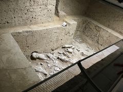 -秦始皇帝陵博物院(兵马俑)