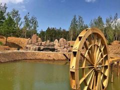 北纬44度·金珠花海景区-北纬44度·金珠花海休闲农业旅游景区