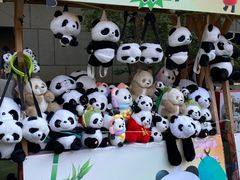 -西安电影制片厂