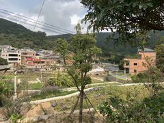 -锄山村