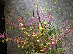 -新安人家·22年本地餐厅