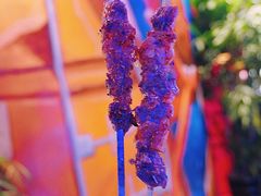 -钳小柒·小龙虾蓝龙王烧烤夜宵(长寿路店)