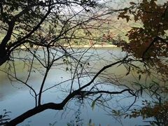 -广州市流溪河国家森林公园