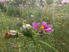 -成都中医药大学(温江校区)