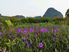 -Club Med地中海俱乐部·桂林度假村