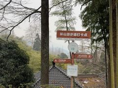 -莫干山风景区