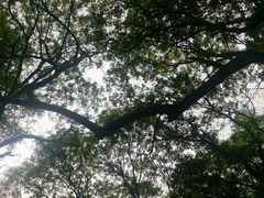 -皇藏峪国家森林公园