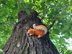 -终南山南五台景区