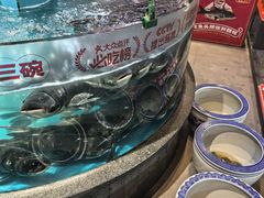 -魏铭鱼头捞饭(晋阳路店)