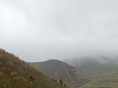 -蔚县茶山村