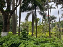-厦门大学(思明校区)