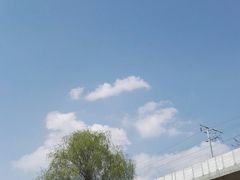 -秀丽东方