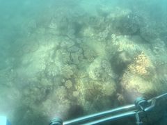 -亚龙湾海底世界