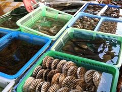 -澳门环岛游湾仔码头