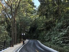 -广州市帽峰山景区