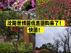 -沈阳植物园