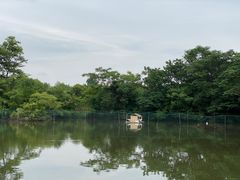 -太极禅苑