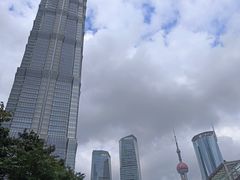 -陆家嘴中心绿地