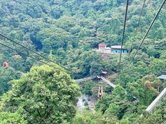 -南丹山森林王国