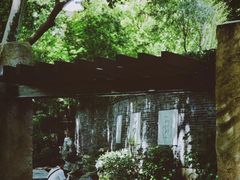-静安公园(静安寺街道)