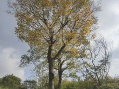 -宝界山林公园