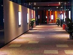 -万达影城(长沙婚庆公园中国巨幕店)