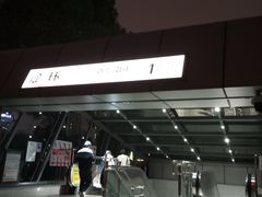 -大龙山(地铁站)