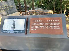 -马王堆汉墓遗址