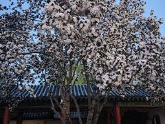 -济南大明湖景区