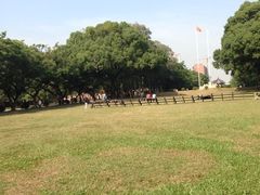 -中山大学学者灵芝(园南路店)