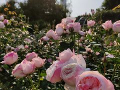 -人民公园(罗湖区)