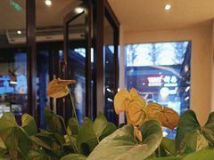 -COSTA COFFEE(新奥购物中心店)