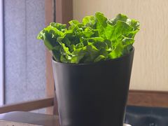 -九田家黑牛烤肉料理(太阳宫广场店)