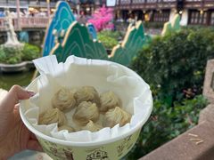 -南翔馒头店(豫园店)