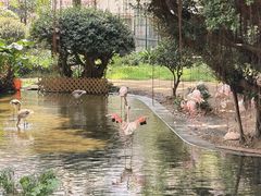 -九龙公园