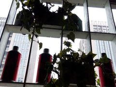android_upload_pic-青年公社烤鸭(蜀山万象汇店)