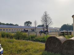 -北京群众马术培训基地