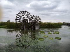 -宁波杭州湾国家湿地公园
