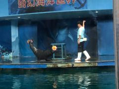 -苏州海洋馆