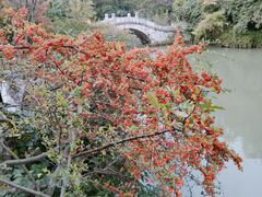 -黔灵山公园