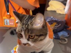 -MARSMART PETS火星宠物超市(1733店)