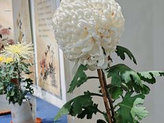 -汇龙潭