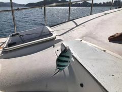 -日落吧·海景咖啡厅·餐酒吧·鸡尾酒·下午茶·乐队表演·浪漫夕阳·三亚文华东方酒店