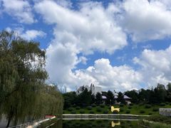 -长影世纪城