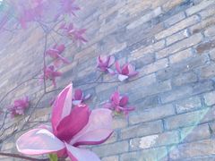 -烤肉宛饭庄(北新桥店)