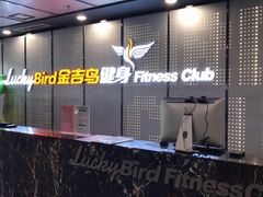 -金吉鸟健身游泳