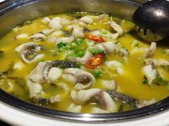 招牌金汤-严厨老坛酸菜鱼(吴江万宝店)