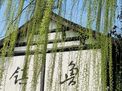 -鲁镇